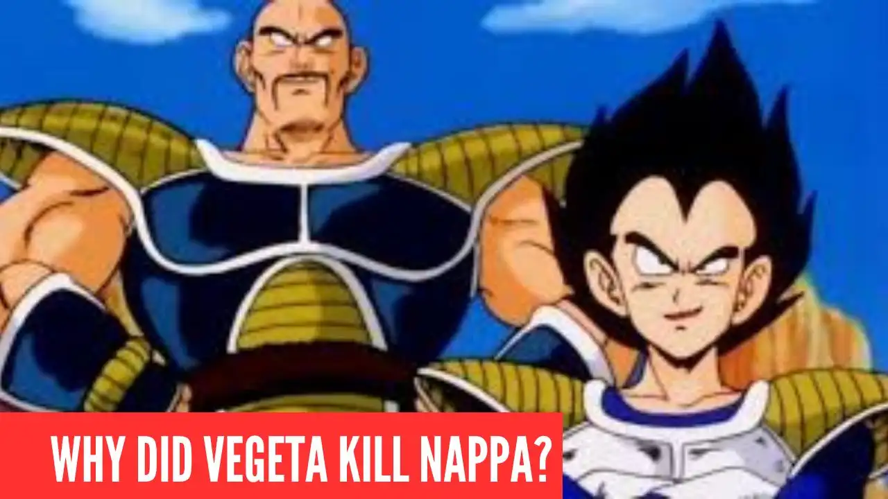 Why Did Vegeta Kill Nappa in Dragon Ball?