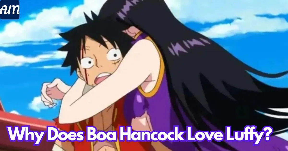 Why Does Boa Hancock Love Luffy?